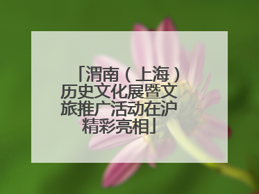 渭南（上海）历史文化展暨文旅推广活动在沪精彩亮相