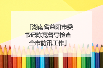 湖南省益阳市委书记陈竞督导检查全市防汛工作