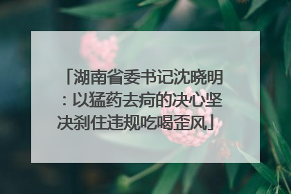 湖南省委书记沈晓明：以猛药去疴的决心坚决刹住违规吃喝歪风