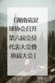 湖南省足球协会召开第六届会员代表大会暨换届大会