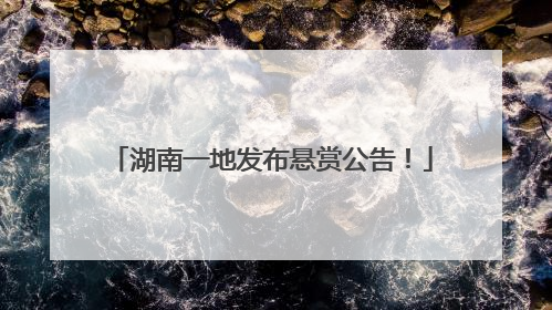 湖南一地发布悬赏公告！