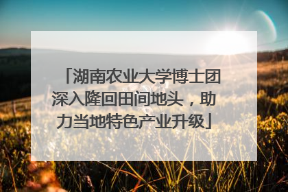 湖南农业大学博士团深入隆回田间地头，助力当地特色产业升级