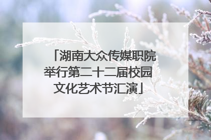 湖南大众传媒职院举行第二十二届校园文化艺术节汇演