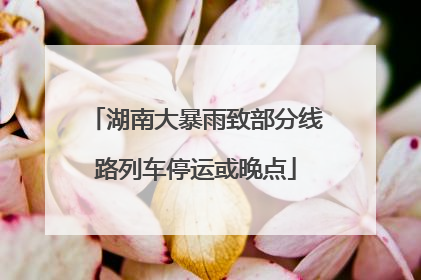 湖南大暴雨致部分线路列车停运或晚点