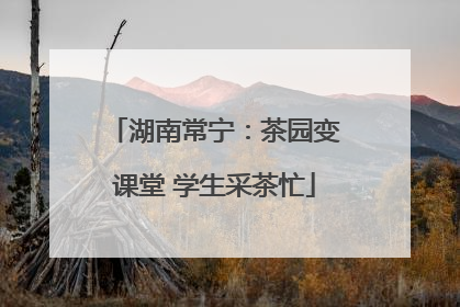 湖南常宁：茶园变课堂 学生采茶忙