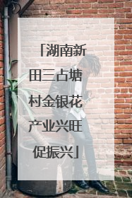 湖南新田三占塘村金银花产业兴旺促振兴