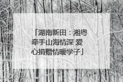 湖南新田：湘粤牵手山海情深 爱心捐赠情暖学子