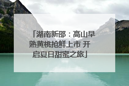 湖南新邵：高山早熟黄桃抢鲜上市 开启夏日甜蜜之旅