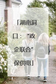 湖南洞口：“政企联合”保供电