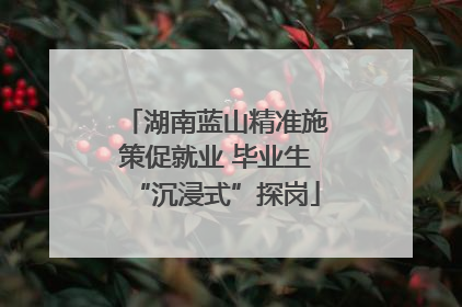 湖南蓝山精准施策促就业 毕业生“沉浸式”探岗
