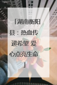 湖南衡阳县：热血传递希望 爱心点亮生命