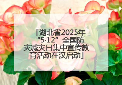 湖北省2025年“5·12”全国防灾减灾日集中宣传教育活动在汉启动