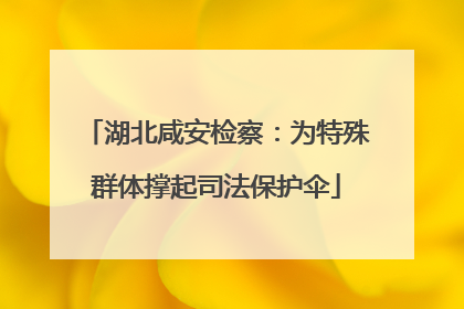 湖北咸安检察：为特殊群体撑起司法保护伞