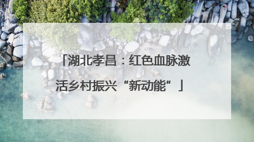 湖北孝昌：红色血脉激活乡村振兴“新动能”