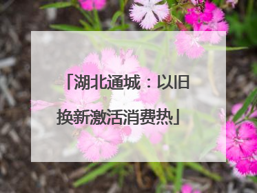湖北通城：以旧换新激活消费热