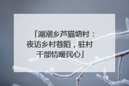 湖潮乡芦猫塘村：夜访乡村巷陌，驻村干部情暖民心