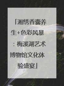 湘绣香囊养生+色彩风暴：梅溪湖艺术博物馆文化体验盛宴