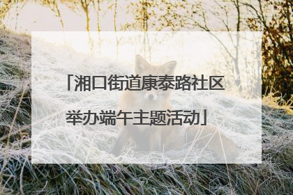 湘口街道康泰路社区举办端午主题活动