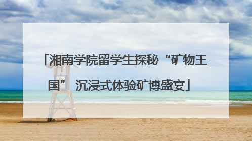 湘南学院留学生探秘“矿物王国” 沉浸式体验矿博盛宴