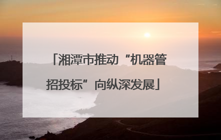 湘潭市推动“机器管招投标”向纵深发展
