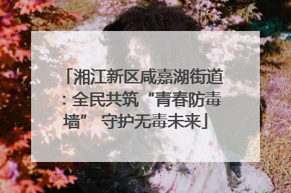 湘江新区咸嘉湖街道：全民共筑“青春防毒墙” 守护无毒未来