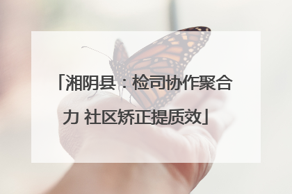 湘阴县：检司协作聚合力 社区矫正提质效