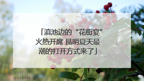 滇池边的“花街宴”火热开席 昆明夏天最潮的打开方式来了