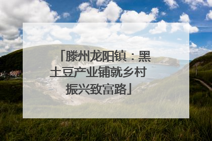 滕州龙阳镇：黑土豆产业铺就乡村振兴致富路