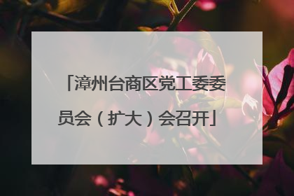 漳州台商区党工委委员会（扩大）会召开