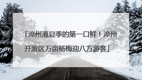 漳州港夏季的第一口鲜!漳州开发区万亩杨梅迎八方游客