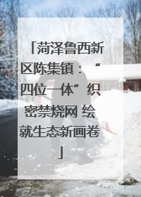 菏泽鲁西新区陈集镇：“四位一体”织密禁烧网 绘就生态新画卷