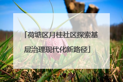 荷塘区月桂社区探索基层治理现代化新路径