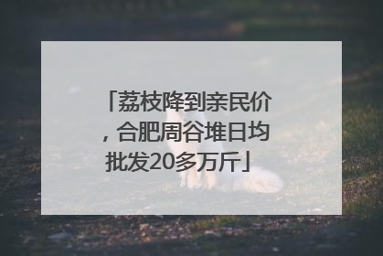 荔枝降到亲民价，合肥周谷堆日均批发20多万斤