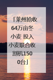 莱州抢收64万亩冬小麦 投入小麦联合收割机1500台