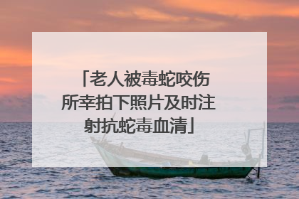 老人被毒蛇咬伤 所幸拍下照片及时注射抗蛇毒血清