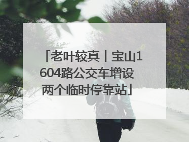 老叶较真丨宝山1604路公交车增设两个临时停靠站