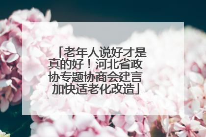 老年人说好才是真的好！河北省政协专题协商会建言加快适老化改造