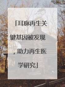 耳廓再生关键基因被发现，助力再生医学研究