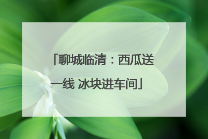 聊城临清：西瓜送一线 冰块进车间