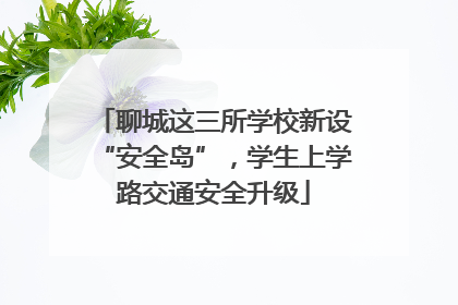 聊城这三所学校新设“安全岛”，学生上学路交通安全升级