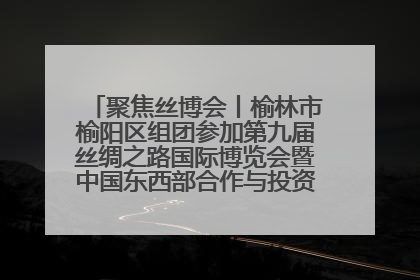 聚焦丝博会丨榆林市榆阳区组团参加第九届丝绸之路国际博览会暨中国东西部合作与投资贸易洽谈会