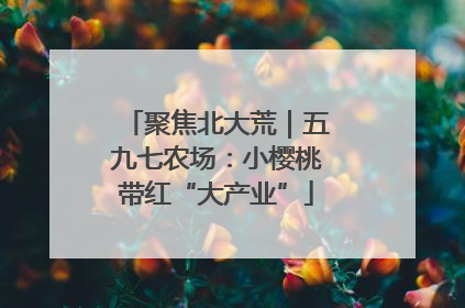 聚焦北大荒｜五九七农场：小樱桃带红“大产业”