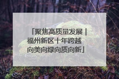 聚焦高质量发展｜福州新区十年跨越 向美向绿向质向新