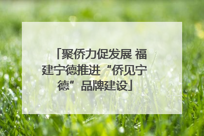 聚侨力促发展 福建宁德推进“侨见宁德”品牌建设