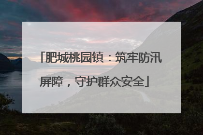 肥城桃园镇：筑牢防汛屏障，守护群众安全
