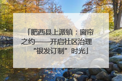 肥西县上派镇：窗帘之约——开启社区治理“银发订制”时光