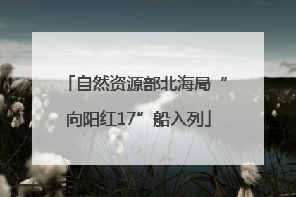 自然资源部北海局“向阳红17”船入列