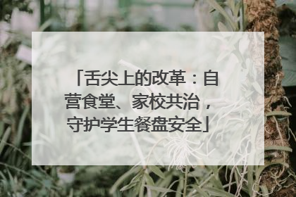 舌尖上的改革：自营食堂、家校共治，守护学生餐盘安全