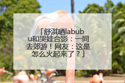 舒淇晒labubu和哭娃合影：一同去郊游！网友：这是怎么火起来了？