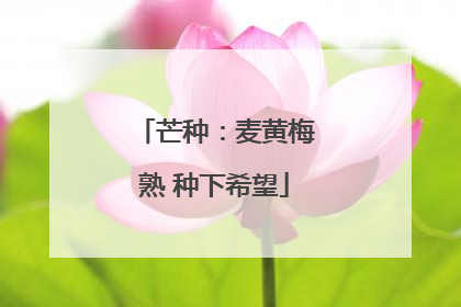 芒种：麦黄梅熟 种下希望